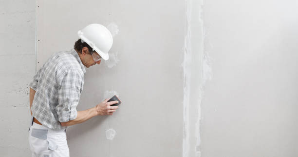 Best Drywall Texturing  in Coronado, CA